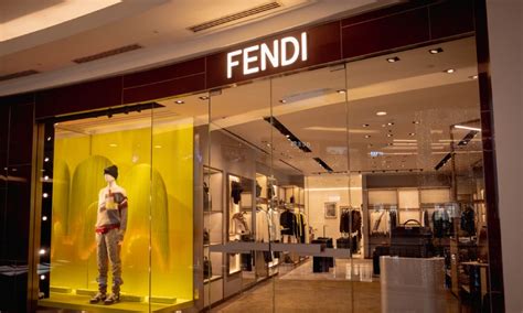 where does fendi come from|who is fendi owned by.